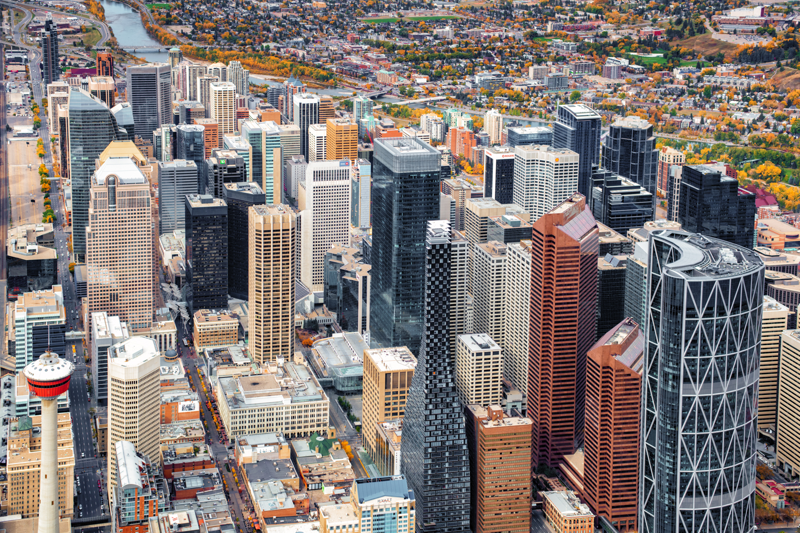 Calgary preview