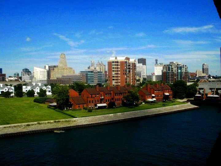 Buffalo preview